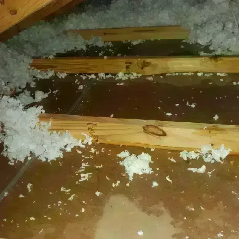 Attic Water Damage in Orleans County, NY